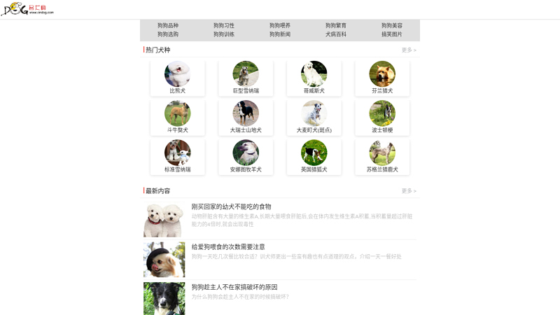 宠物狗-中国名犬网-世界名犬,狗,名犬,藏獒天地,哈士奇,松狮,金毛,德国牧羊犬,雪纳瑞,大麦町犬,博美犬